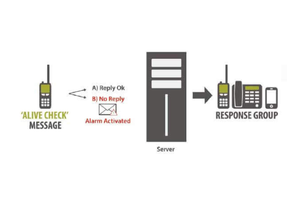 infographic of Teldio's automated check-in and alert features
