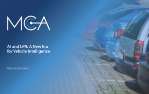 The backs of a row of parked cars.