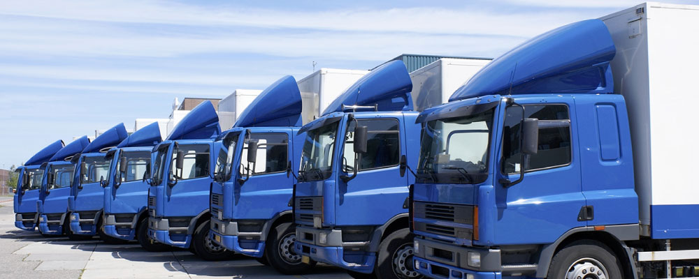 A fleet of semi-trucks parked at a warehouse.