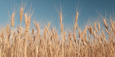 Agriculture-Data-Solutions3-01