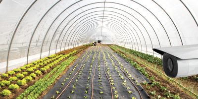 Agriculture-Security-Solutions1-01