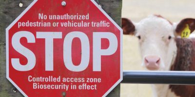 Agriculture-Security-Solutions2-01