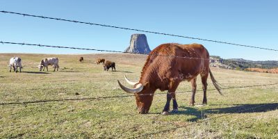 Agriculture-Security-Solutions3-01